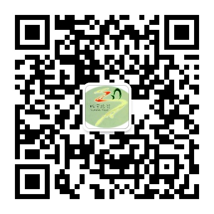 乐游睢宁的微信二维码